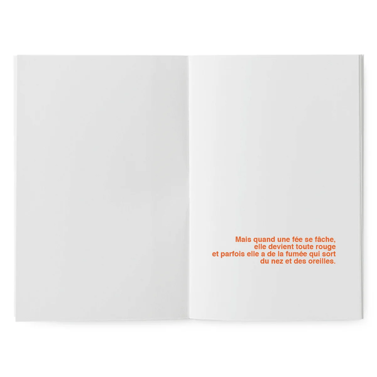 Livre à illustrer - La fée en colère – Image 3
