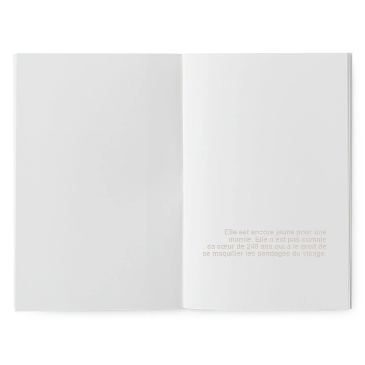 Livre à illustrer - L'anniversaire de la momie – Image 3