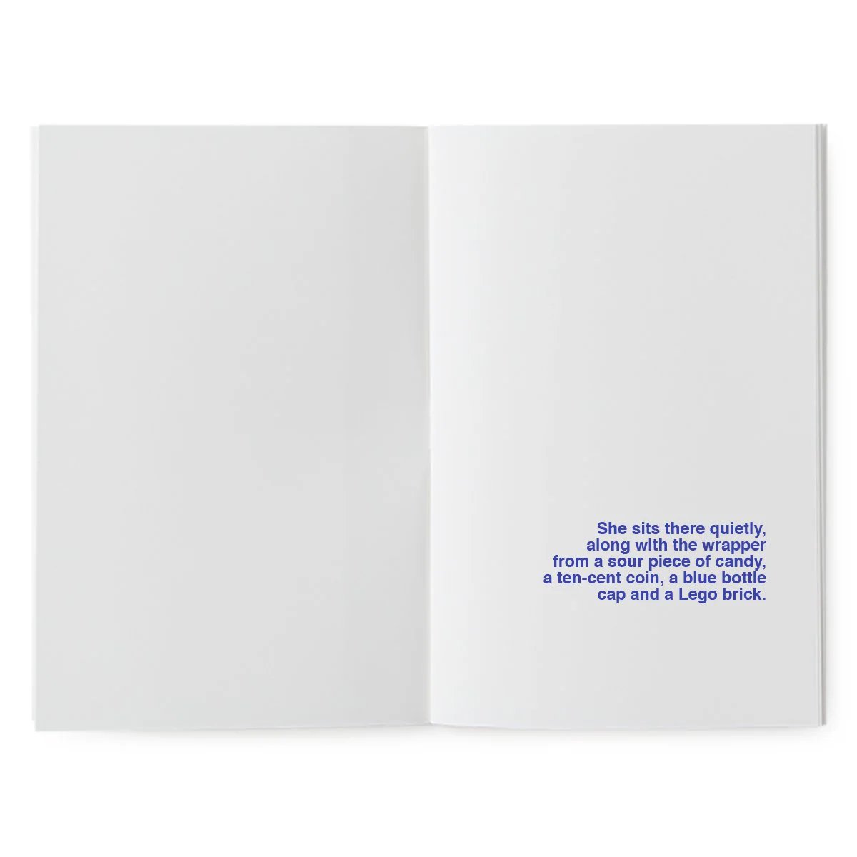 A book to illustrate - What Happens to Night During the Day? – Image 4