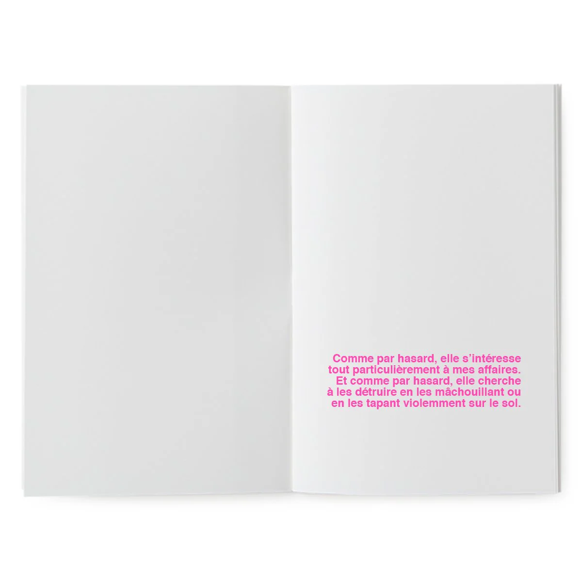 Livre à illustrer - Ma soeur est maléfique – Image 5